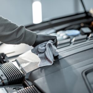 Engine Cleaning Service